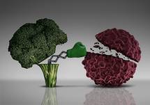 How Dietary Choices Can Influence Cancer Outcomes