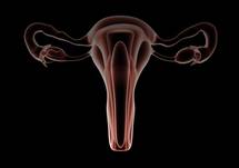 A New and Better Standard of Care Than Blind Biopsy for the Diagnosis of Abnormal Uterine Bleeding